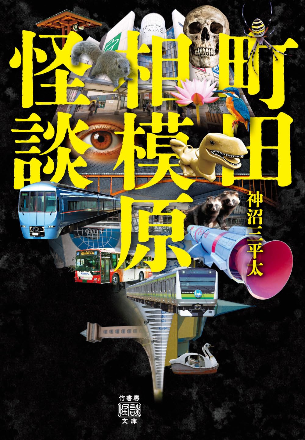 Amazon.co.jp: 町田相模原怪談 (竹書房怪談文庫 HO 743) : 神沼三平太: 本